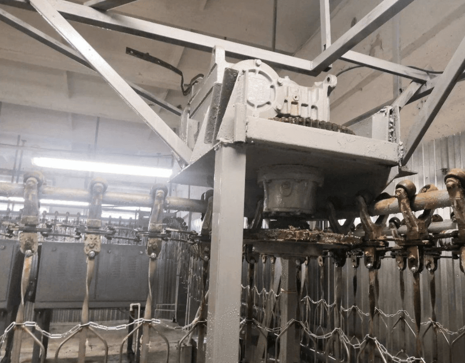 Линия убоя птицы