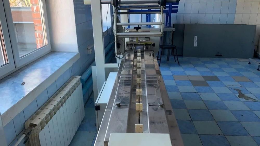 Горизонтальный упаковщик на серво приводе