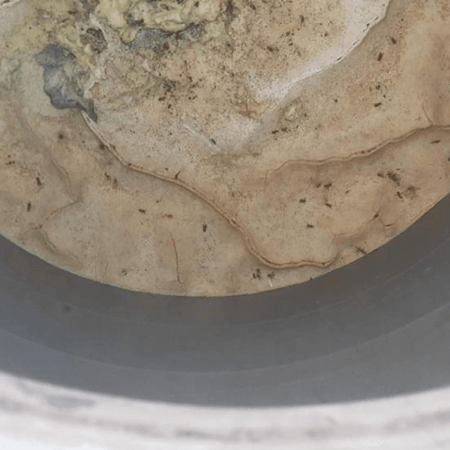 Емкость 0,75 куб.м. плоское дно е.673