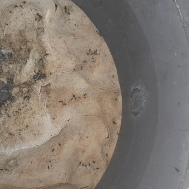 Емкость 0,75 куб.м. плоское дно е.673