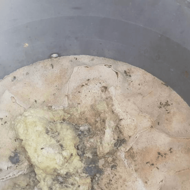 Емкость 0,75 куб.м. плоское дно е.673