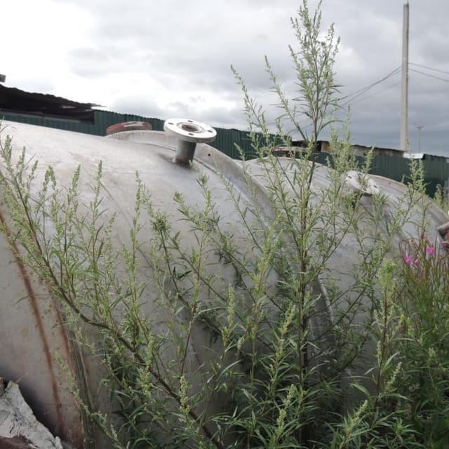 Емкость 6,3м3 одностенная инв.7964