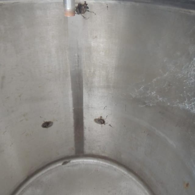 Емкость 730л одн.нерж инв.3266