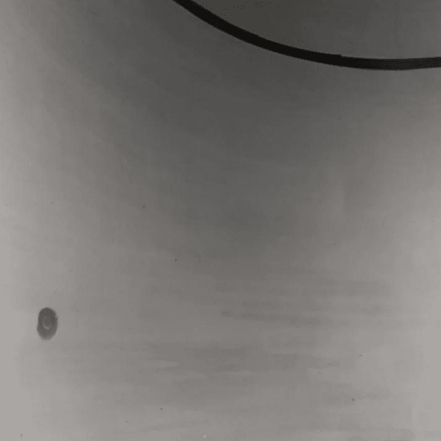 Танк асептический 27 кубов