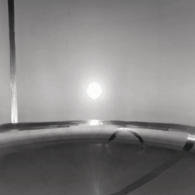 Танк асептический 27 кубов