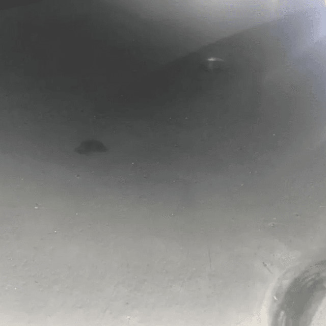 Танк асептический 27 кубов