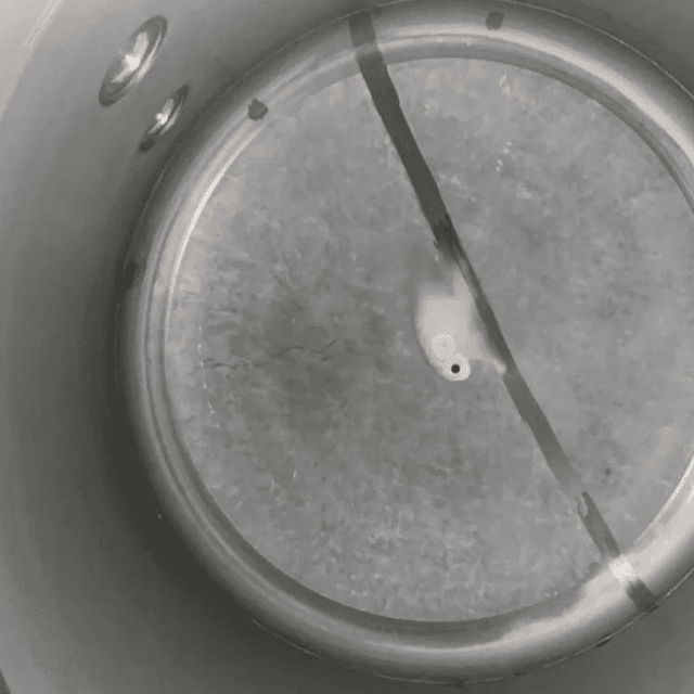 Танк асептический 27 кубов