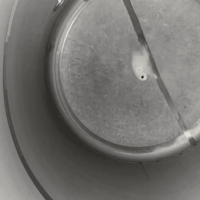 Танк асептический 27 кубов