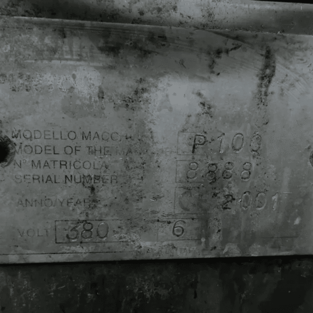 Экструдер DOMINIONI P 100 инв.6960