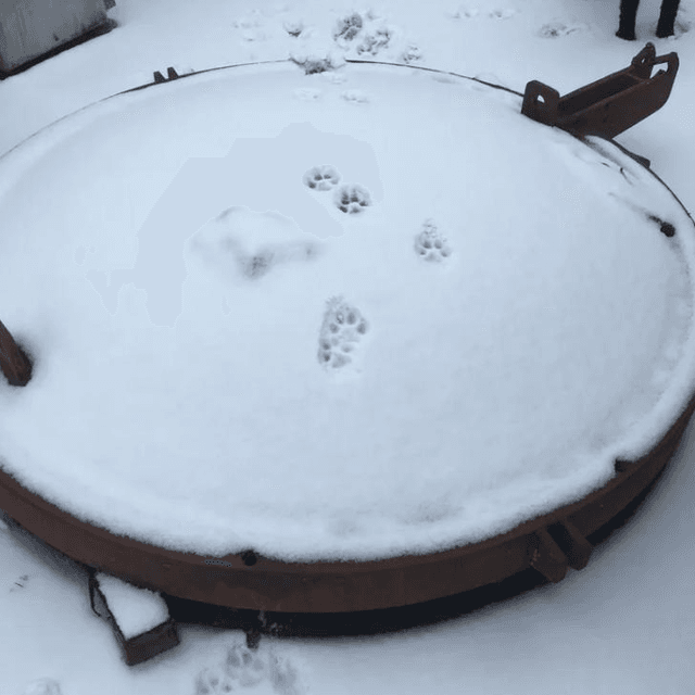 Виганд 8000 инв.7700