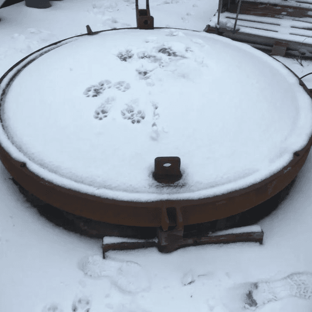 Виганд 8000 инв.7700