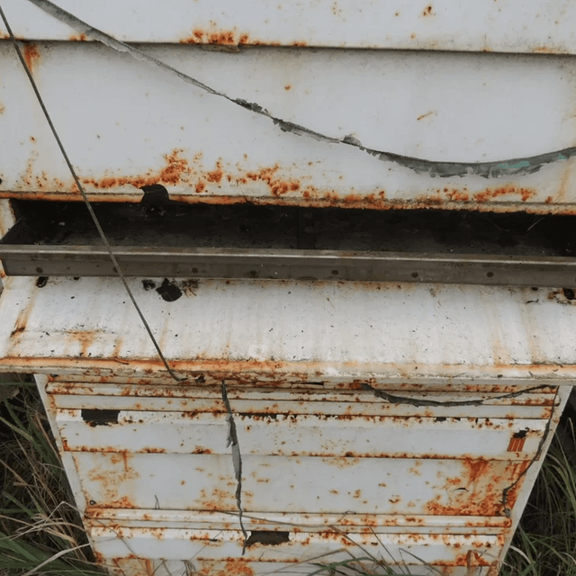 Сушка макарон инв.3270