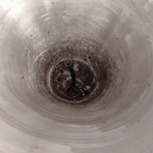 Сушка 10кг/час инв.8889