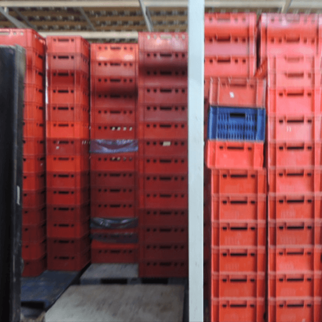 Ящики для заморозки