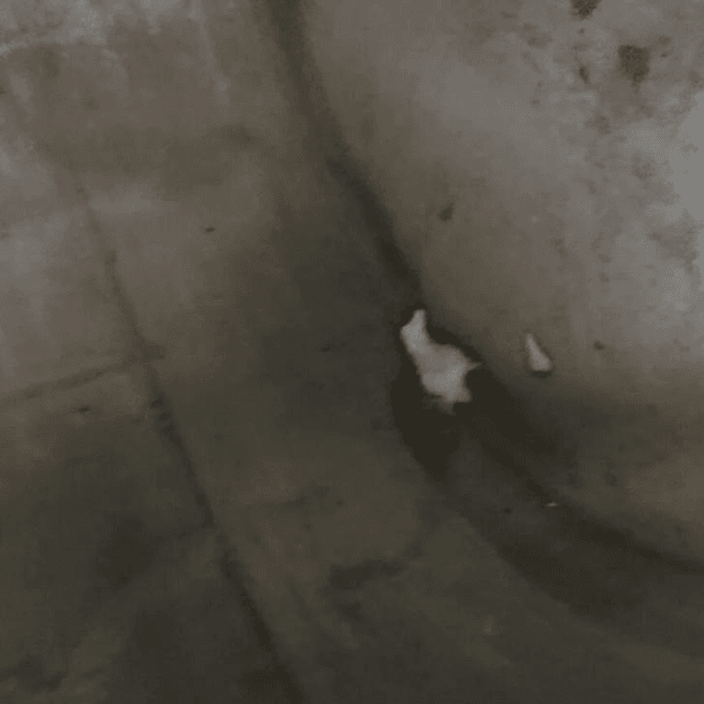 Емкость 1000л инв.8329