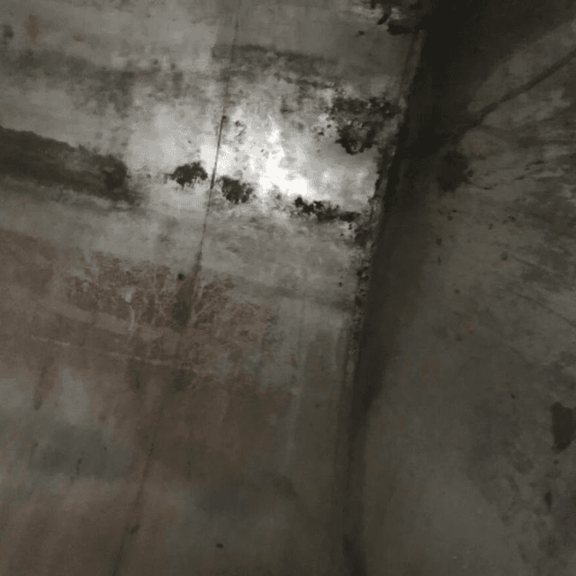 Емкость 1000л инв.8329