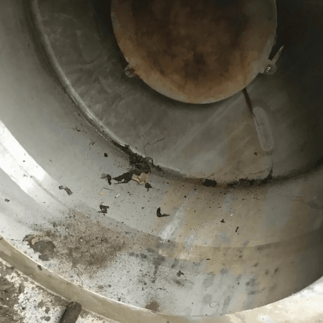 Виганд 2000 инв.8381