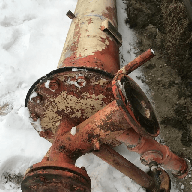 Виганд 2000 инв.8381