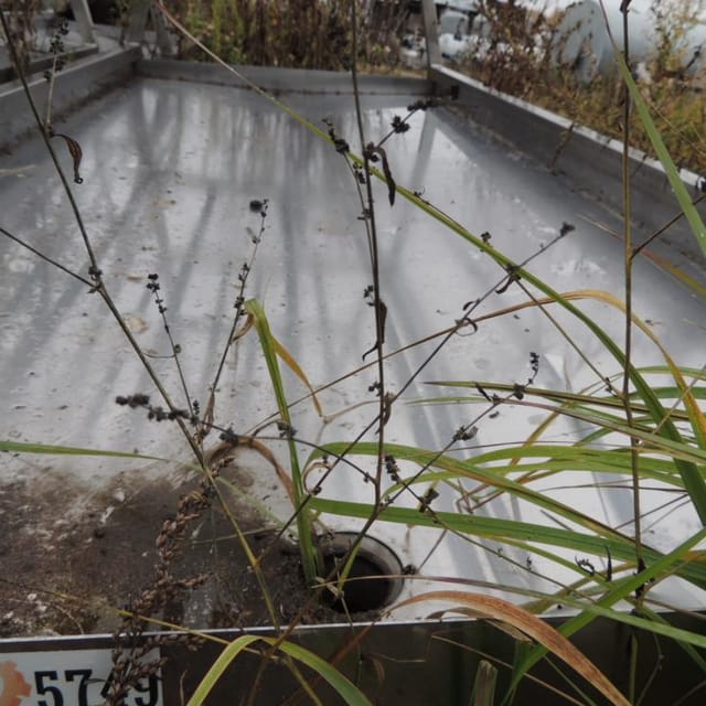 Стеллаж для творога нерж инв.5724