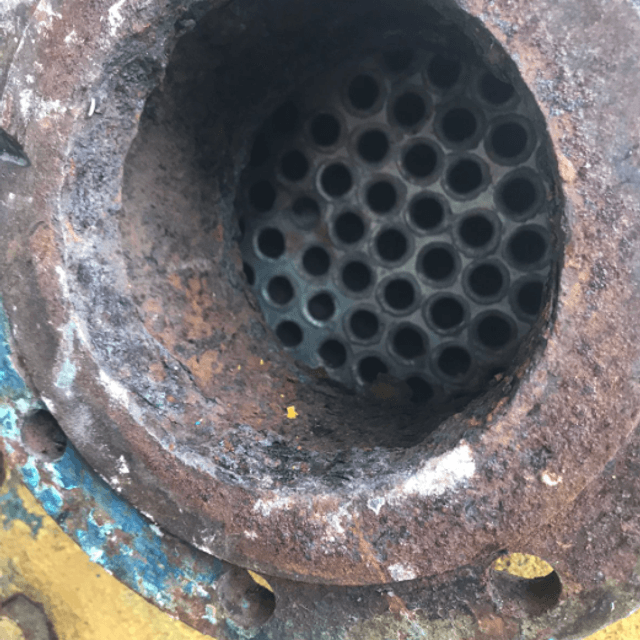 Виганд 2000 инв.9481