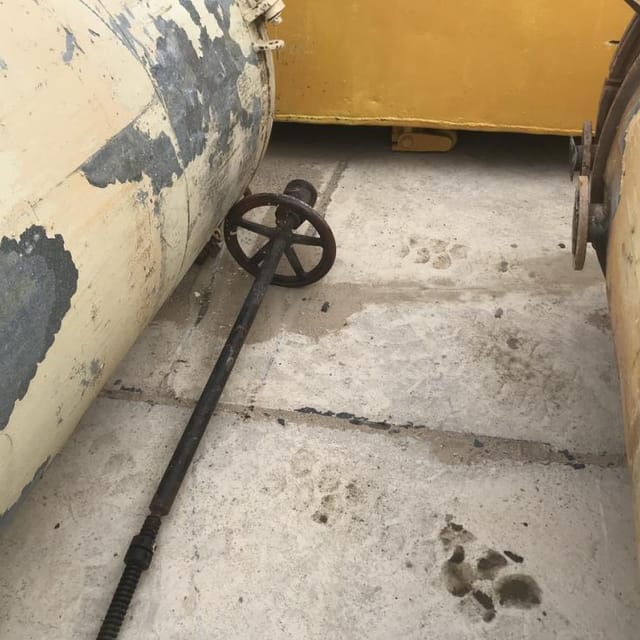 Виганд 2000 инв.7865