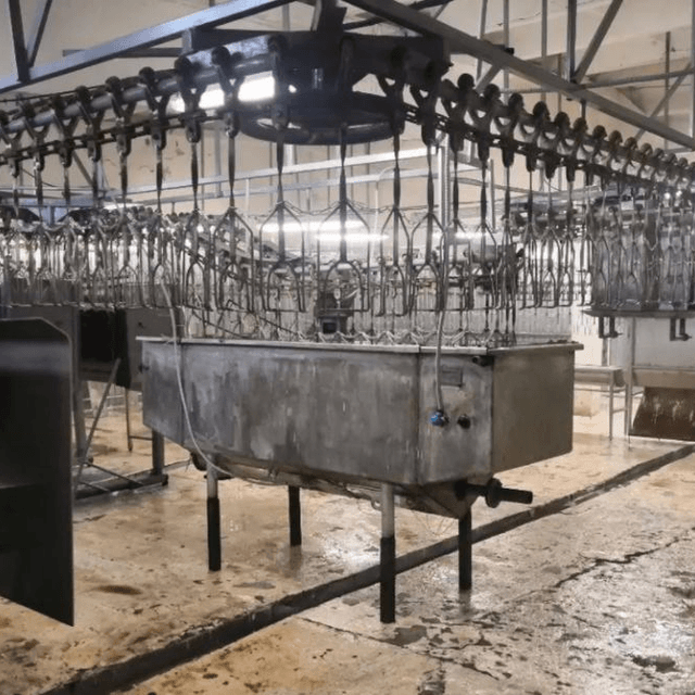 Линия убоя птицы