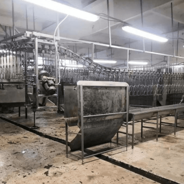 Линия убоя птицы