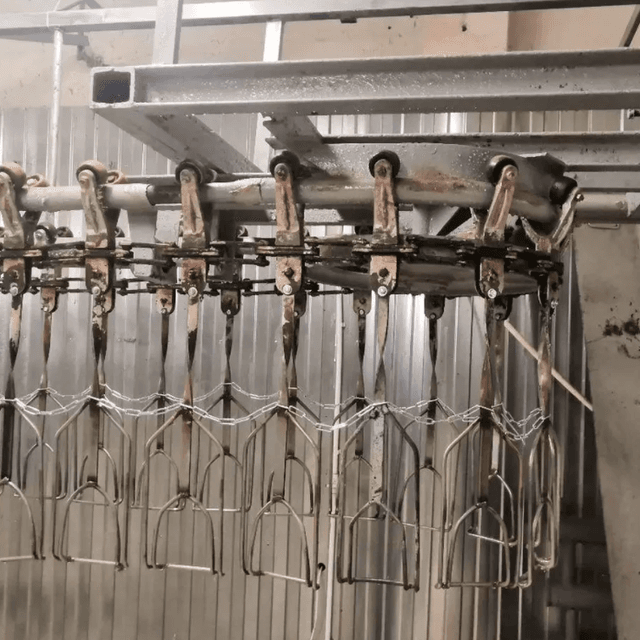 Линия убоя птицы