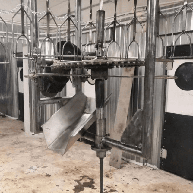 Линия убоя птицы