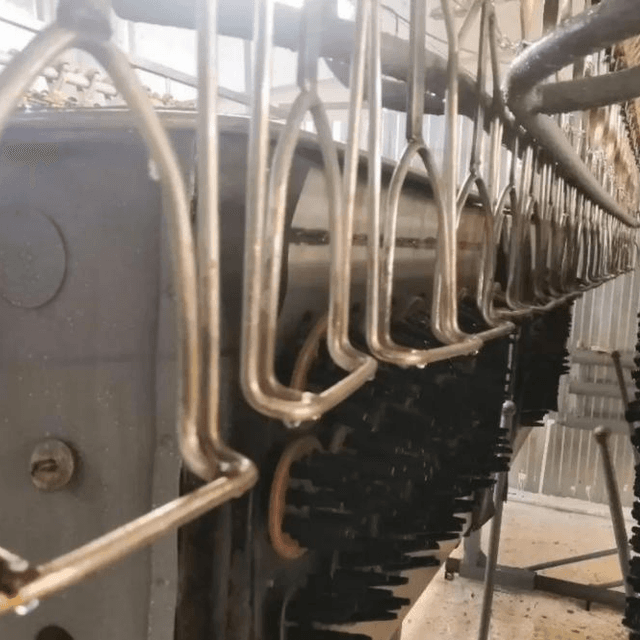 Линия убоя птицы