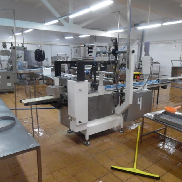 Горизонтальный упаковщик ЛинеПак