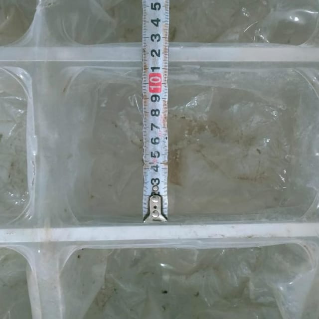 Термоформер Webomatic APS ML 3300 инв.9043