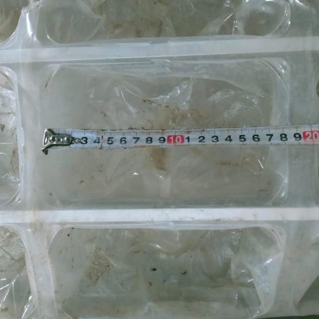 Термоформер Webomatic APS ML 3300 инв.9043