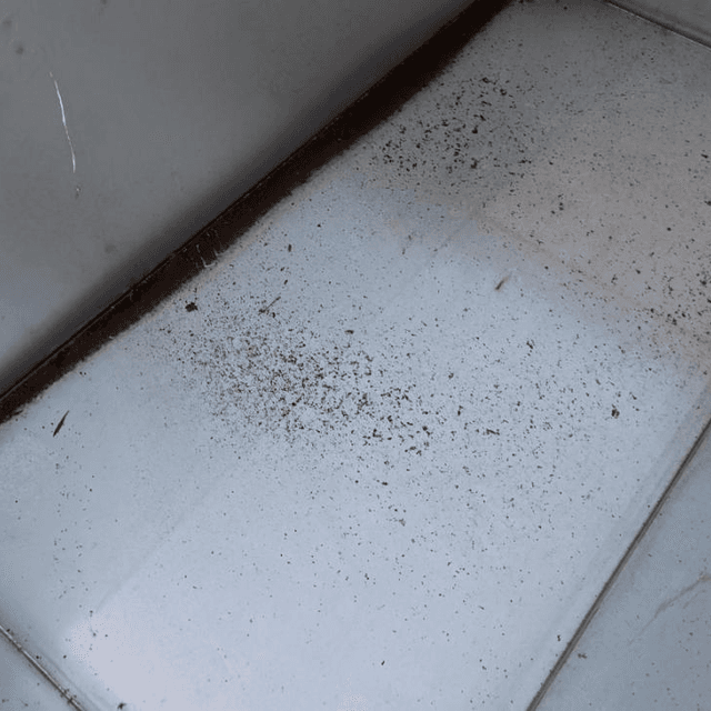 Ванна нержавеющая,  6 куб.м е.1880