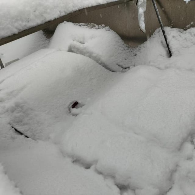 Танк охладитель 2.5куб.м инв.8593