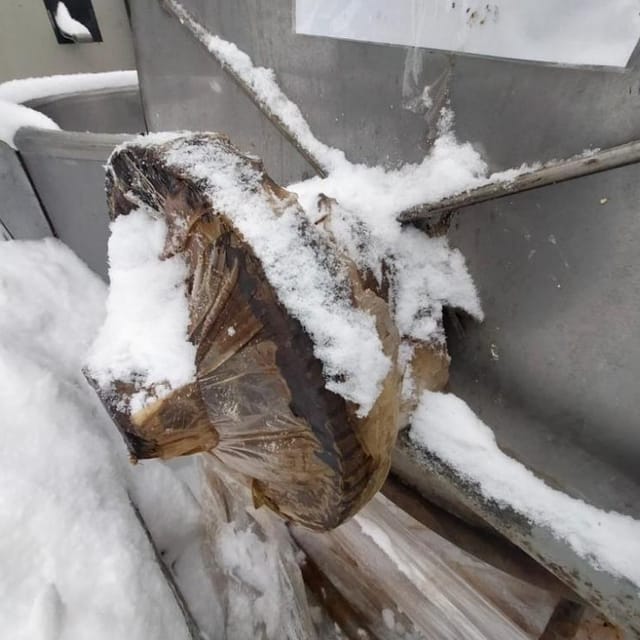 Охладитель творога УПТ с черной рамой инв.11245