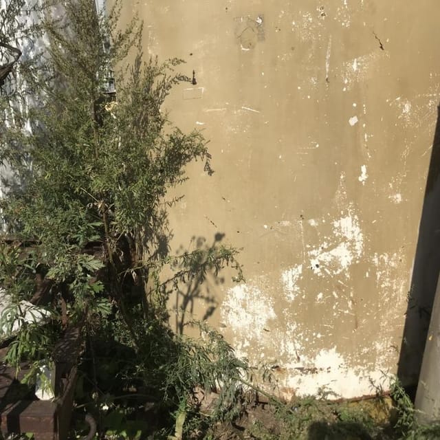 Стальная для глазури 4 куба инв.7871