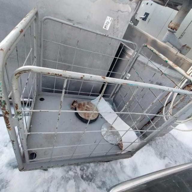 Тележка чёрная, корзина инв.10596