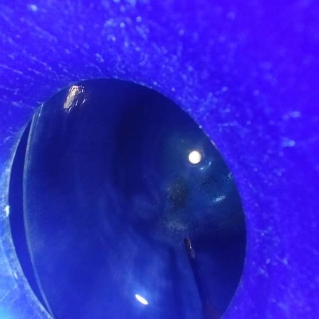 Сборник эмаль 1,6м3 инв.10517