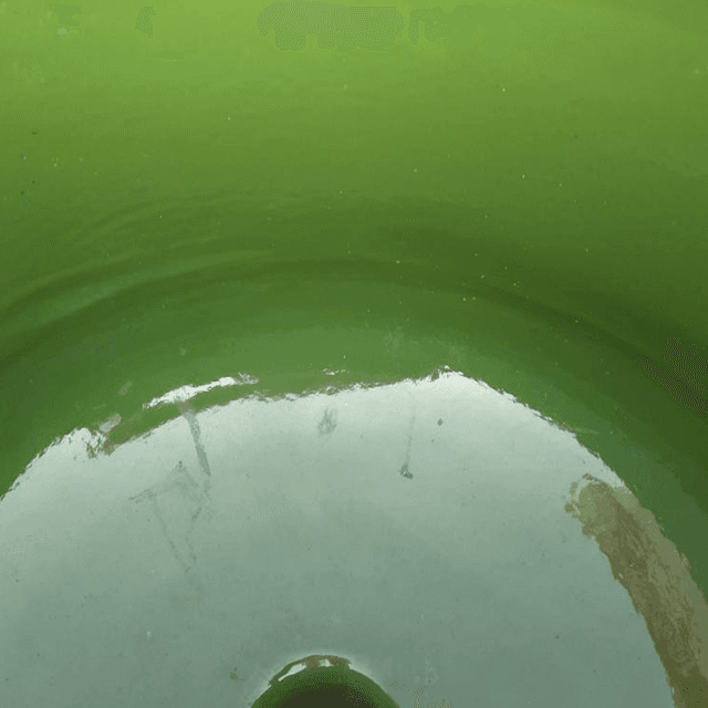 Емкость эмалированная стальная  0,05 куб. м.