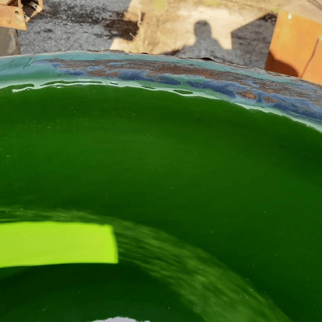 Емкость эмалированная стальная  0,05 куб. м.