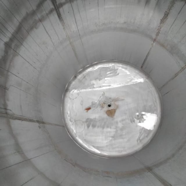 Ёмкость с рубашкой 1,7м3 инв.14358