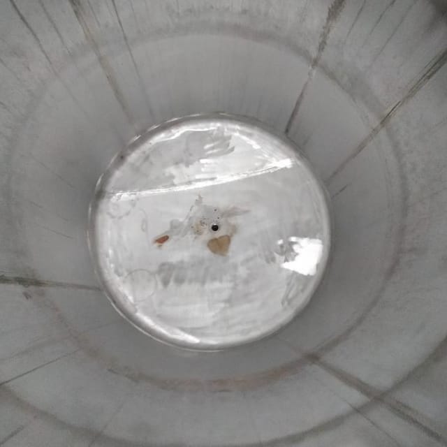 Ёмкость с рубашкой 1,7м3 инв.14358