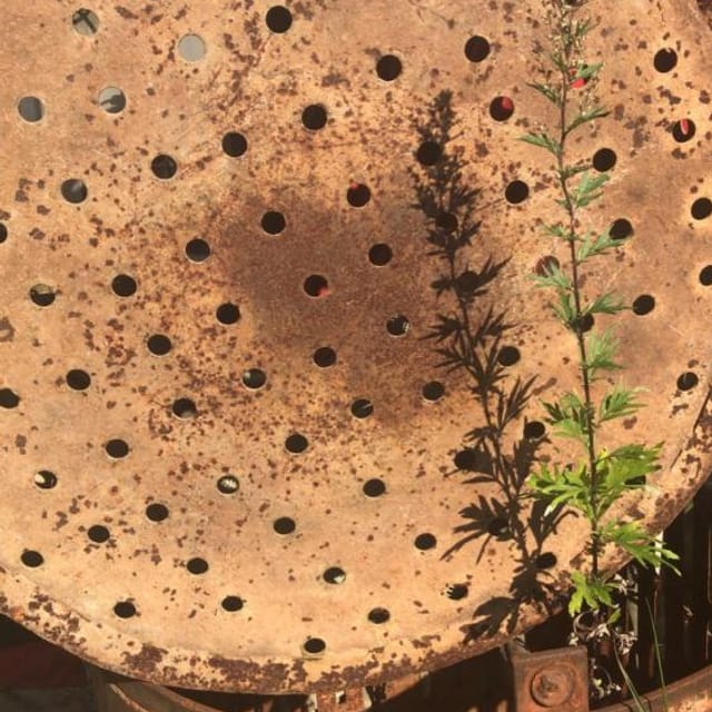 Корзины для автоклава инв.7686