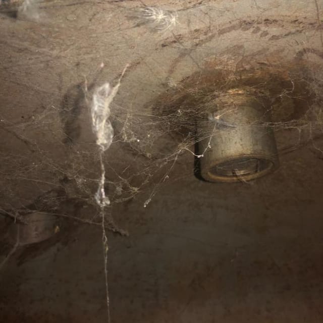 Реактор пищевой 1000л инв.4409