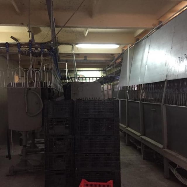 Линия убоя птицы, конвейер подвесной ВИ-1020