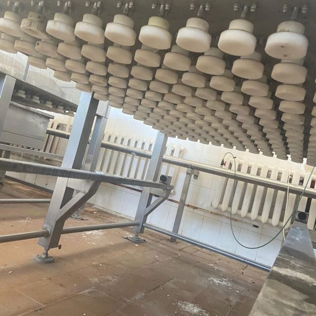 Сырный пресс туннельный ПТП-156 инв.9553