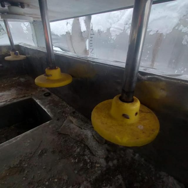 Пресс сырный туннельный 40 гол. инв.11306