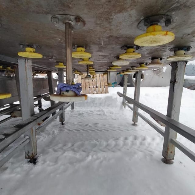 Пресс сырный туннельный 40 гол. инв.11306