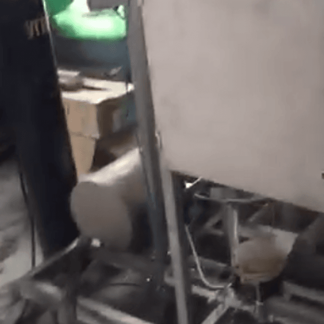 Карбонизатор Alfa Laval автоматический